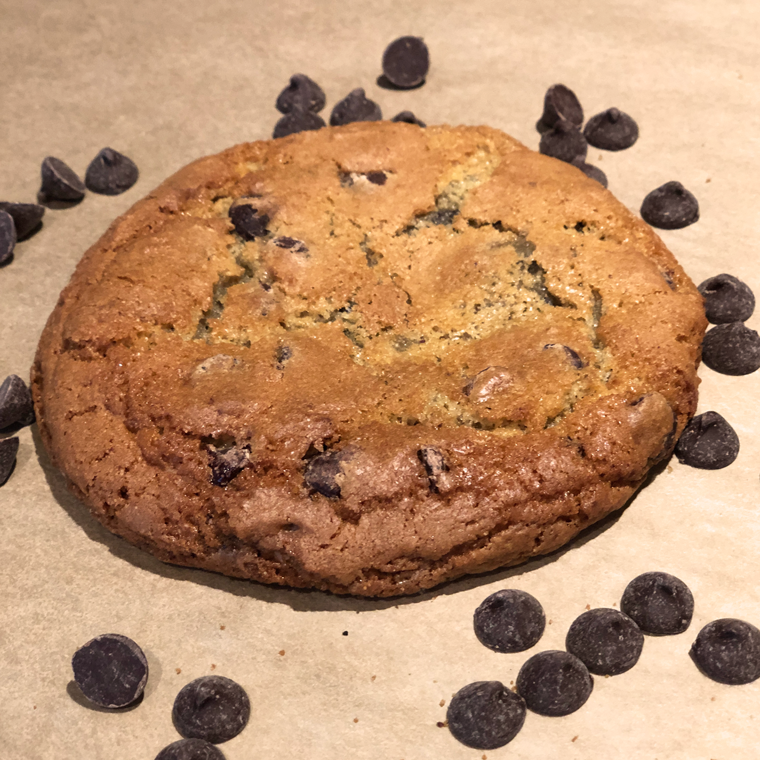 Chocolate Chip Cookie