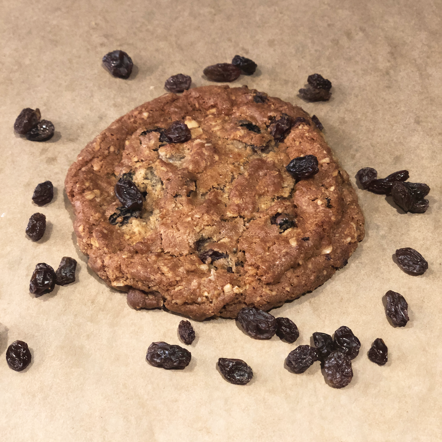 Oatmeal Raisin Cookie