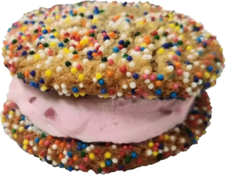 Ice Cream Cookie Sandwich